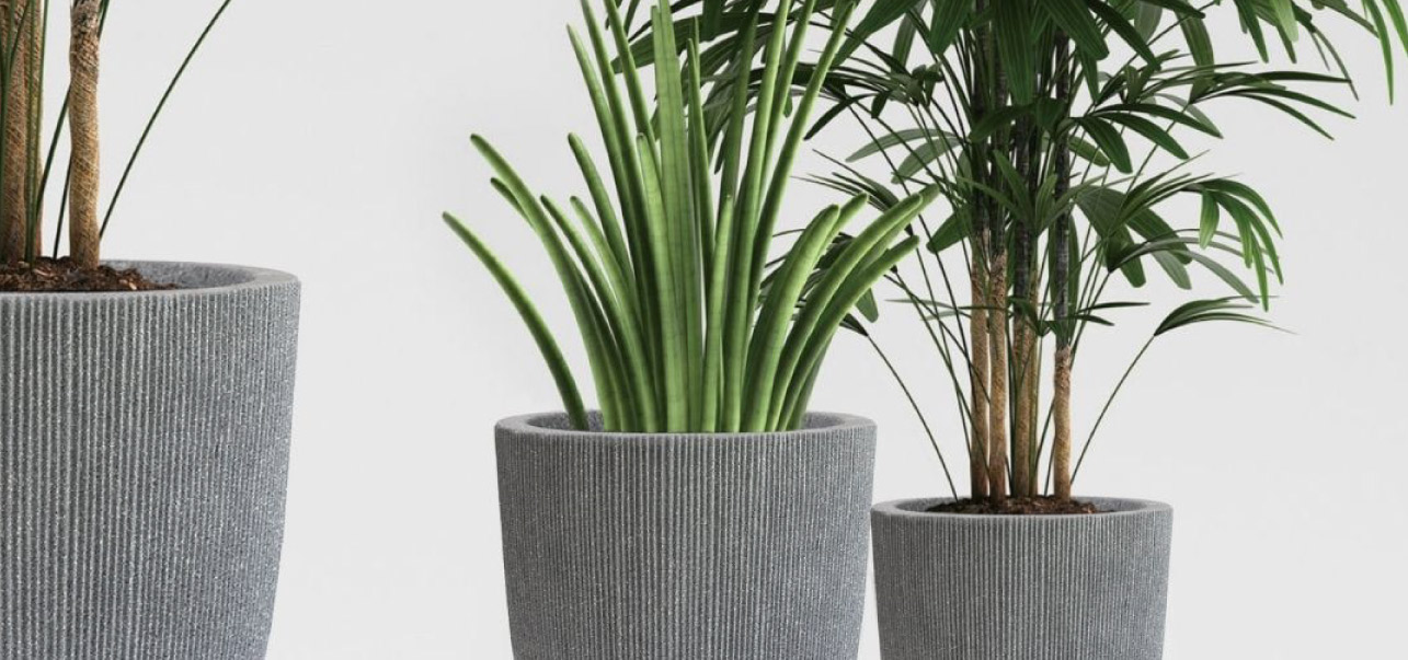 Pots and Planters Image