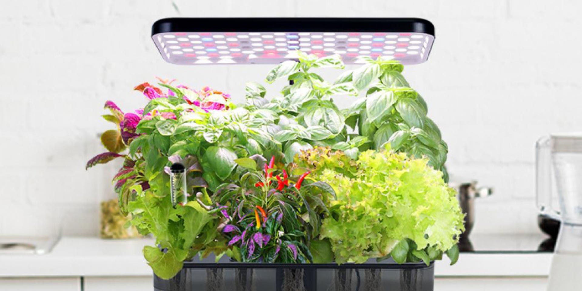 Smart Planters Image